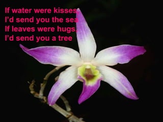If water were kisses, I’d send you the sea If leaves were hugs, I’d send you a tree 