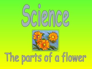 Science The parts of a flower 