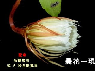 һһ
䘷
IQ
 5 ԄӓQ
 