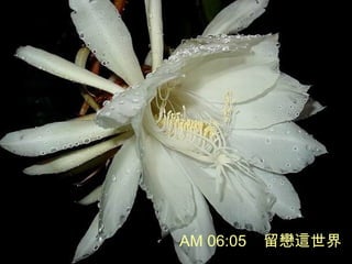 AM 06:05 @
 