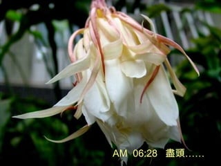 AM 06:28 M^
 