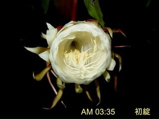 AM 03:35 `
 