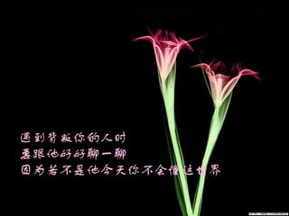 Flower