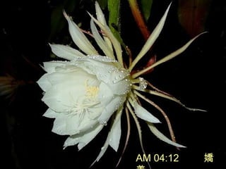 AM 04:12 
 