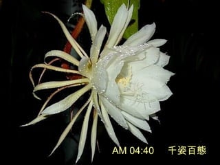 AM 04:40 ǧ˰ّB
 