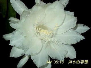 AM 05:10 ˮ
 