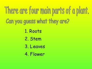 1. R oots
2. Stem
3. L eaves
4. F lower
 