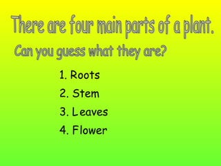 1. R
2. S
3. L
4. F
oots
tem
eaves
lower
 