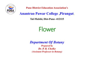 Flower
Department Of Botany
Prepared by
Dr. P. B. Cholke
(Assistant Professor in Botany)
Pune District Education Association’s
Anantrao Pawar College ,Pirangut,
Tal-Mulshi, Dist-Pune- 412115
 