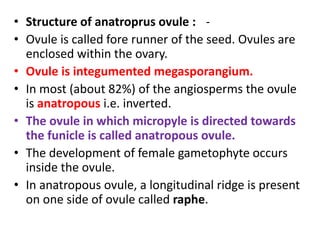 • Structure of anatroprus ovule : -
• Ovule is called fore runner of the seed. Ovules are
enclosed within the ovary.
• Ovule is integumented megasporangium.
• In most (about 82%) of the angiosperms the ovule
is anatropous i.e. inverted.
• The ovule in which micropyle is directed towards
the funicle is called anatropous ovule.
• The development of female gametophyte occurs
inside the ovule.
• In anatropous ovule, a longitudinal ridge is present
on one side of ovule called raphe.
 