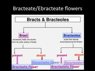 Flower | PDF