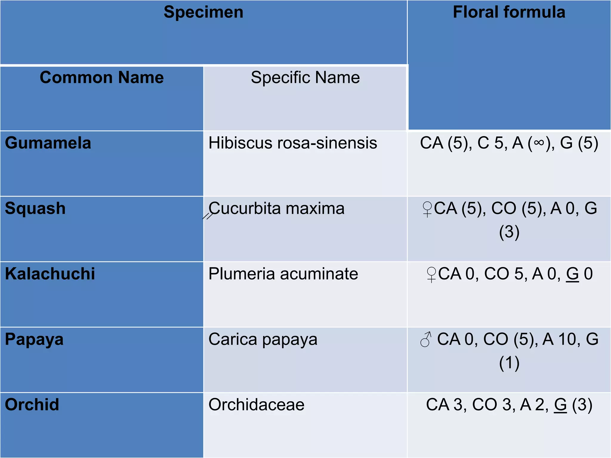 Flowers and Floral Formula | PPTX