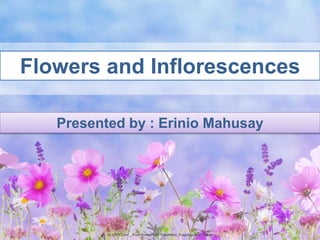 ALLPPT.com _ Free PowerPoint Templates, Diagrams and Charts
Presented by : Erinio Mahusay
Flowers and Inflorescences
 
