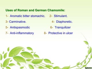 Uses of Roman and German Chamomile:
1- Aromatic bitter stomachic. 2- Stimulant.
3- Carminative. 4- Diaphoretic.
5- Antispasmodic 6- Tranquilizer
7- Anti-inflammatory 8- Protective in ulcer
 