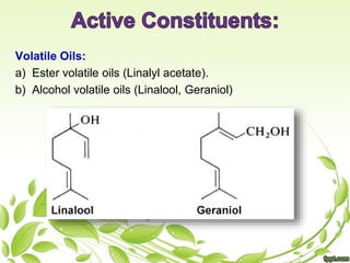 Volatile Oils:
a) Ester volatile oils (Linalyl acetate).
b) Alcohol volatile oils (Linalool, Geraniol)
 
