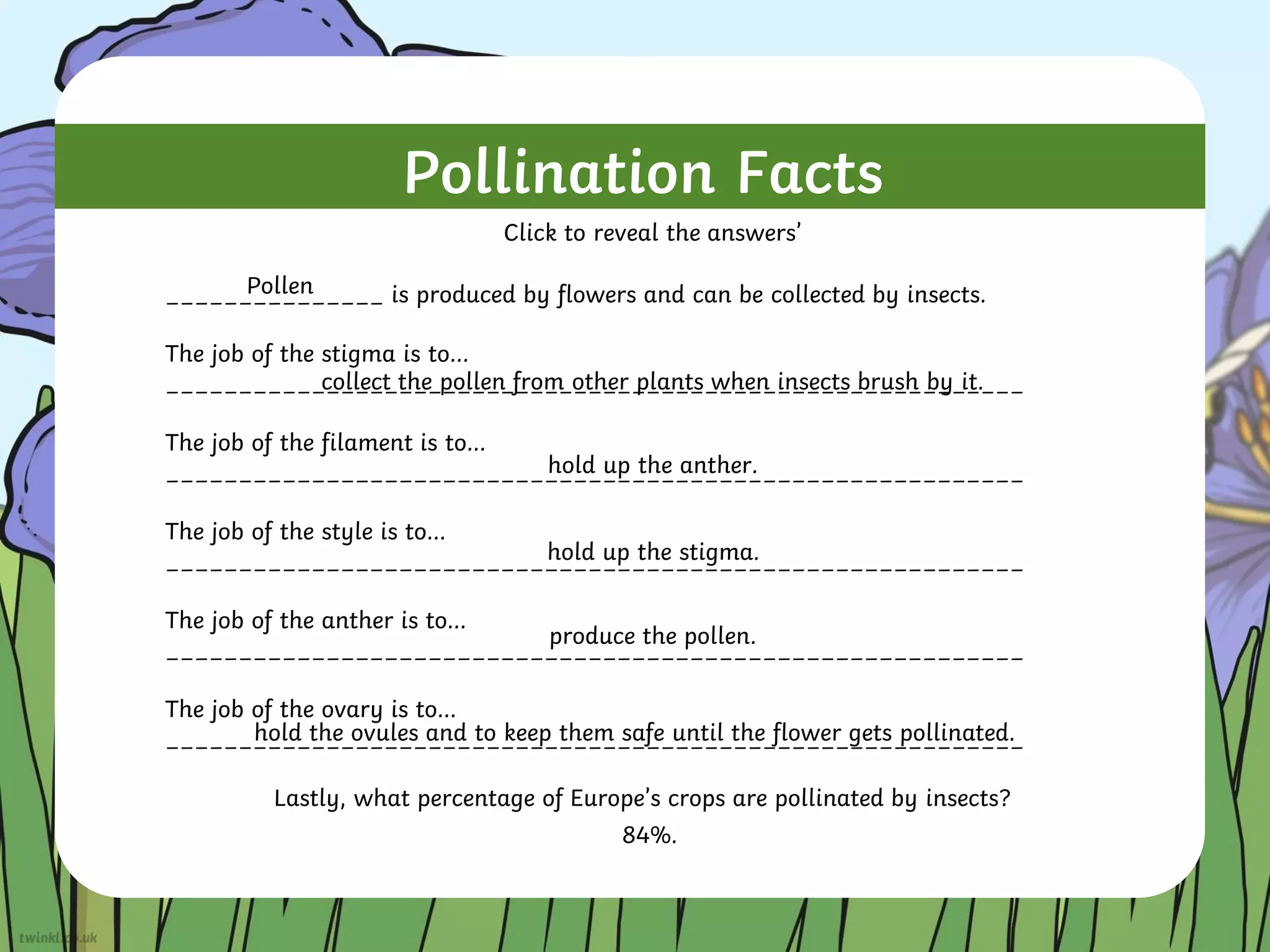 Pollination Facts
_______________ is produced by flowers and can be collected by insects.
The job of the stigma is to…
___________________________________________________________
The job of the filament is to…
___________________________________________________________
The job of the style is to…
___________________________________________________________
The job of the anther is to…
___________________________________________________________
The job of the ovary is to…
___________________________________________________________
Lastly, what percentage of Europe’s crops are pollinated by insects?
Pollen
collect the pollen from other plants when insects brush by it.
hold the ovules and to keep them safe until the flower gets pollinated.
produce the pollen.
hold up the stigma.
hold up the anther.
Click to reveal the answers’
84%.
 