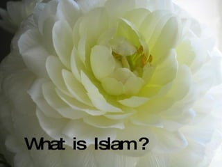 What  is  Islam ? 