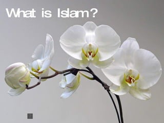 What  is  Islam ? 