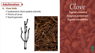 Practical pharmacognosy: Flower 1. clove 2023.pdf