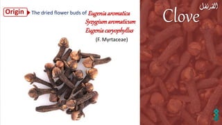 Practical pharmacognosy: Flower 1. clove 2023.pdf