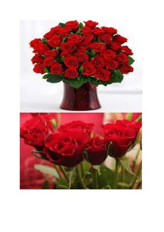 Flower2