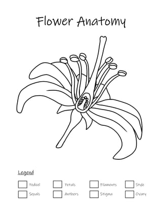 Pedicel
Sepals
Petals
Anthers
Filaments
Stigma
Style
Ovary
Legend
Flower Anatomy
 