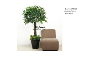 Item/No:MT03135
Simulation Pachira
MOQ:50PCS
 