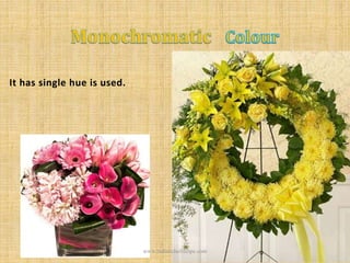 It has single hue is used.
www.indianchefrecipe.com
 