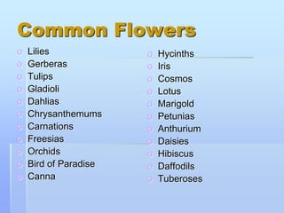 Common Flowers
o Lilies
o Gerberas
o Tulips
o Gladioli
o Dahlias
o Chrysanthemums
o Carnations
o Freesias
o Orchids
o Bird of Paradise
o Canna
o Hycinths
o Iris
o Cosmos
o Lotus
o Marigold
o Petunias
o Anthurium
o Daisies
o Hibiscus
o Daffodils
o Tuberoses
 