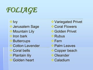 FOLIAGE
Ivy
Jerusalem Sage
Mountain Lily
Iron bark
Buttercups
Cotton Lavender
Coral bells
Plantain lily
Golden heart
Variegated Privet
Coral Flowers
Golden Privet
Rubus
Fern
Palm Leaves
Copper beach
Oleander
Caladium
 