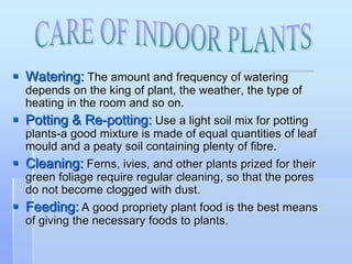  Watering: The amount and frequency of watering
depends on the king of plant, the weather, the type of
heating in the room and so on.
 Potting & Re-potting: Use a light soil mix for potting
plants-a good mixture is made of equal quantities of leaf
mould and a peaty soil containing plenty of fibre.
 Cleaning: Ferns, ivies, and other plants prized for their
green foliage require regular cleaning, so that the pores
do not become clogged with dust.
 Feeding: A good propriety plant food is the best means
of giving the necessary foods to plants.
 