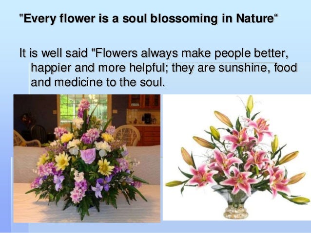 Featured image of post Mechanics In Floral Design Definition / The impact of varying definitions of illness.