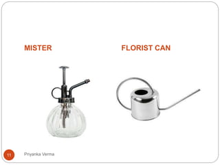 MISTER FLORIST CAN
11 Priyanka Verma
 