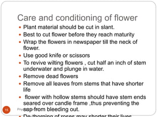 Care and conditioning of flower
 Plant material should be cut in slant.
 Best to cut flower before they reach maturity
 Wrap the flowers in newspaper till the neck of
flower.
 Use good knife or scissors
 To revive wilting flowers , cut half an inch of stem
underwater and plunge in water.
 Remove dead flowers
 Remove all leaves from stems that have shorter
life
 flower with hollow stems should have stem ends
seared over candle frame ,thus preventing the
sap from bleeding out.15 Priyanka Verma
 