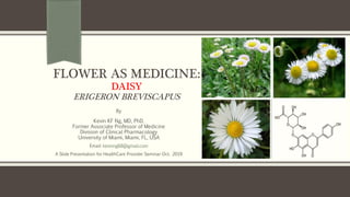 FLOWER AS MEDICINE:
DAISY
ERIGERON BREVISCAPUS
By
Kevin KF Ng, MD, PhD.
Former Associate Professor of Medicine
Division of Clinical Pharmacology
University of Miami, Miami, FL, USA
Email: kevinng68@gmail.com
A Slide Presentation for HealthCare Provider Seminar Oct. 2019
 