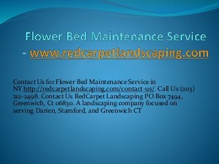 Contact Us for Flower Bed Maintenance Service in
NY http://redcarpetlandscaping.com/contact-us/. Call Us (203)
212-2498. Contact Us RedCarpet Landscaping PO Box 7494,
Greenwich, Ct 06830. A landscaping company focused on
serving Darien, Stamford, and Greenwich CT
 