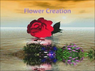 Flower Creation 