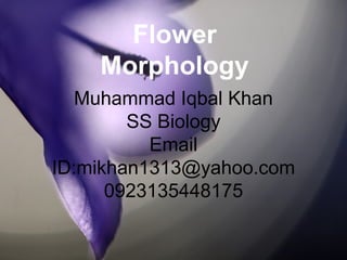 Muhammad Iqbal Khan
SS Biology
Email
ID:mikhan1313@yahoo.com
0923135448175
Flower
Morphology
 