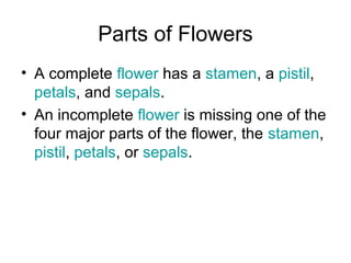 An Incomplete Flower Flower description | PPT