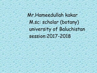 Mr.Hameedullah kakar
M.sc: scholar (botany)
university of Baluchistan
session:2017-2018
 