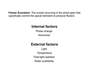 Flower development | PPT