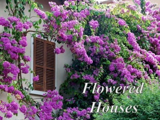 Flowered houses