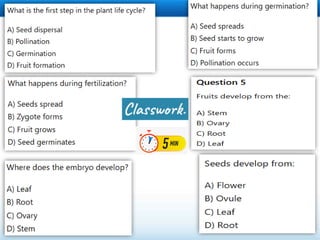 Comprehensive Guide to Angiosperm Classification and Reproduction | PDF