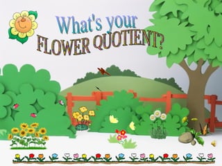 What's your FLOWER QUOTIENT? 