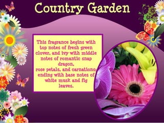 This fragrance begins with
top notes of fresh green
clover, and ivy with middle
notes of romantic snap
dragon,
rose petals, and carnations;
ending with base notes of
white musk and fig
leaves.
Country Garden
 