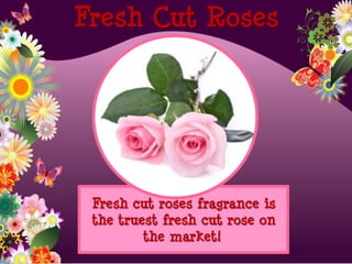 Fresh cut roses fragrance is
the truest fresh cut rose on
the market!
Fresh Cut Roses
 