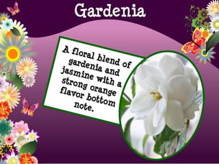 Gardenia
 