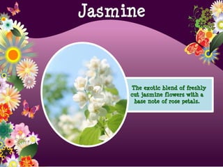 The exotic blend of freshly
cut jasmine flowers with a
base note of rose petals.
Jasmine
 