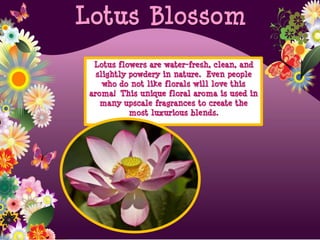 Lotus flowers are water-fresh, clean, and
slightly powdery in nature. Even people
who do not like florals will love this
aroma! This unique floral aroma is used in
many upscale fragrances to create the
most luxurious blends.
Lotus Blossom
 