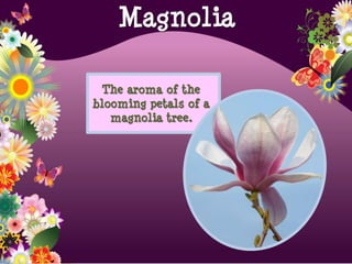 The aroma of the
blooming petals of a
magnolia tree.
Magnolia
 